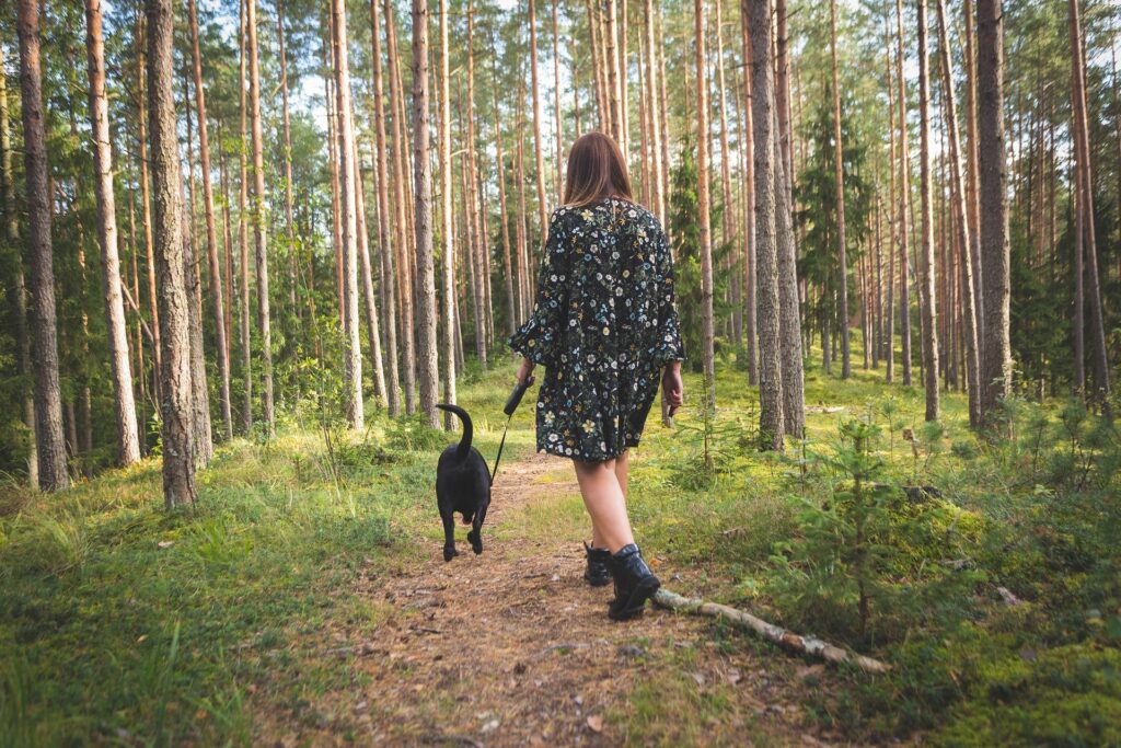 Walk to Improve Physical Fitness